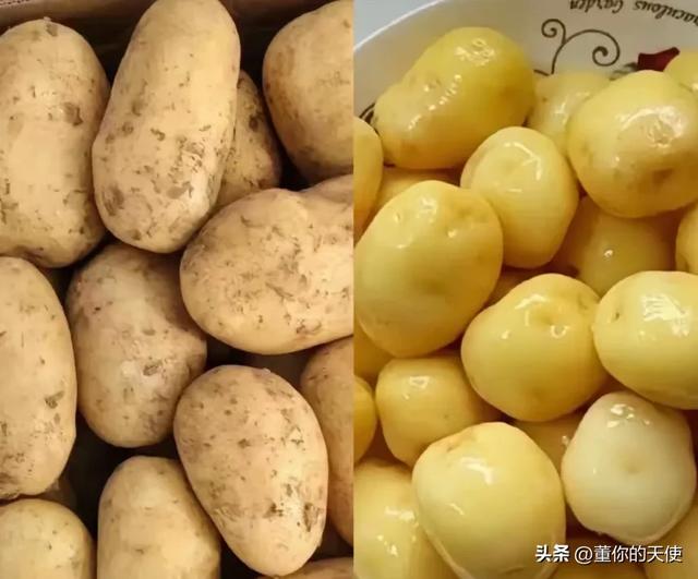 到底谁可怕？东北澡堂让人害羞，南方的洗澡一般人真扛不住！