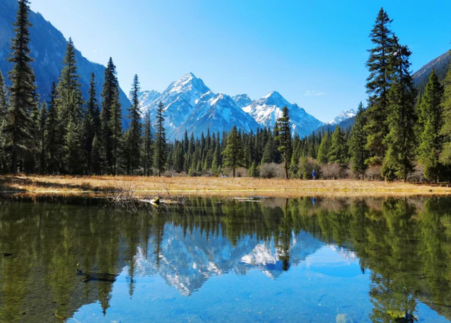 绵阳平武加入“大熊猫国家公园旅游目的地”品牌计划