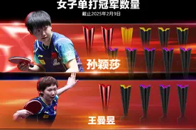 WTT发布冠军榜，樊振东、陈梦在列图片