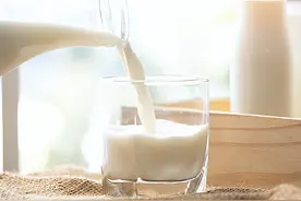 喝驼奶的好处与坏处，"揭秘驼奶：沙漠之宝的营养秘密与健康益处"图片