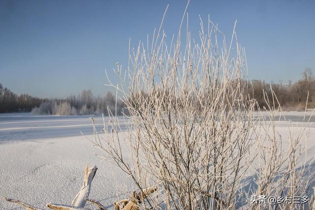 今日入三九，老人说“三九连日晴，坟头遍地起”	，晴天有啥预兆？