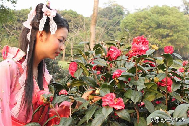 金秋佛山簪花觅花香，如果您是大男人，愿意头上戴花出游吗？