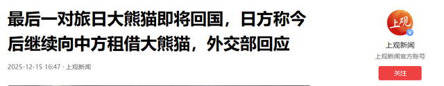 最后关头，高市政府通告中国，希望送回大熊猫，中方误判了日本？