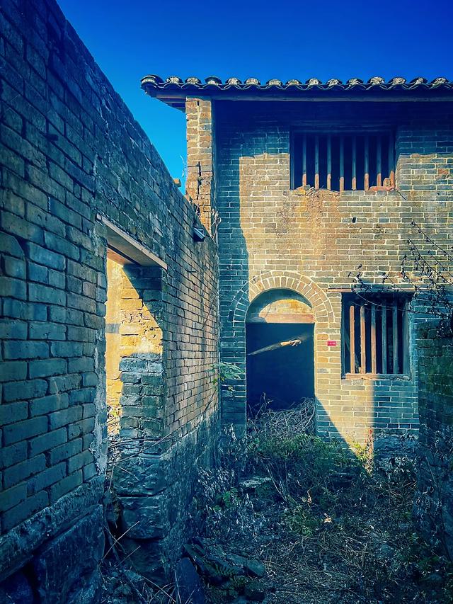 清远深秋十大免费打卡地，邂逅岭南最美金黄秘境！