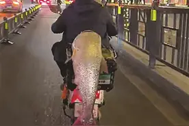 男子钓到56斤重的鳡鱼骑车绕城5小时炫耀图片