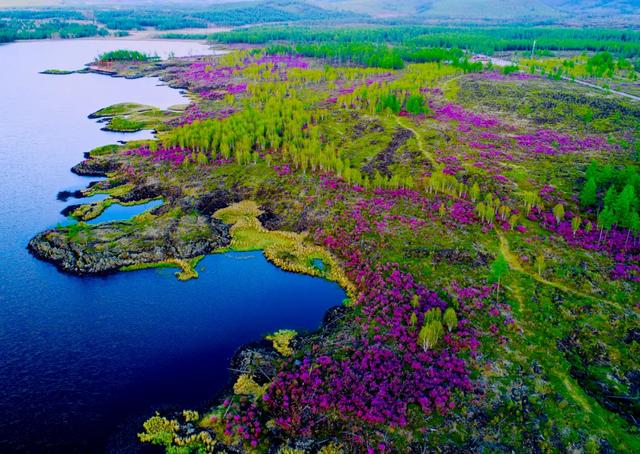 好消息!阿尔山市登上2025年全国县域文旅融合综合竞争力100强