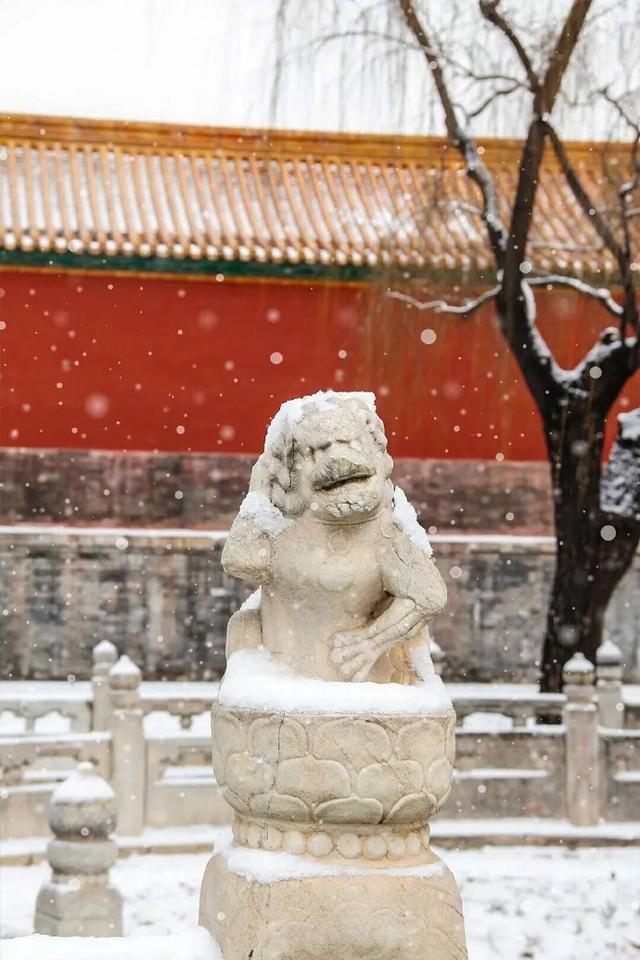 雪落紫禁城：千年宫墙藏尽岁末温柔