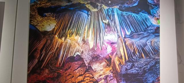 心心念念的大秦岭