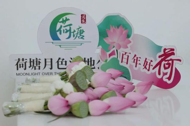 荷塘月色湿地公园七夕限时免费开放！