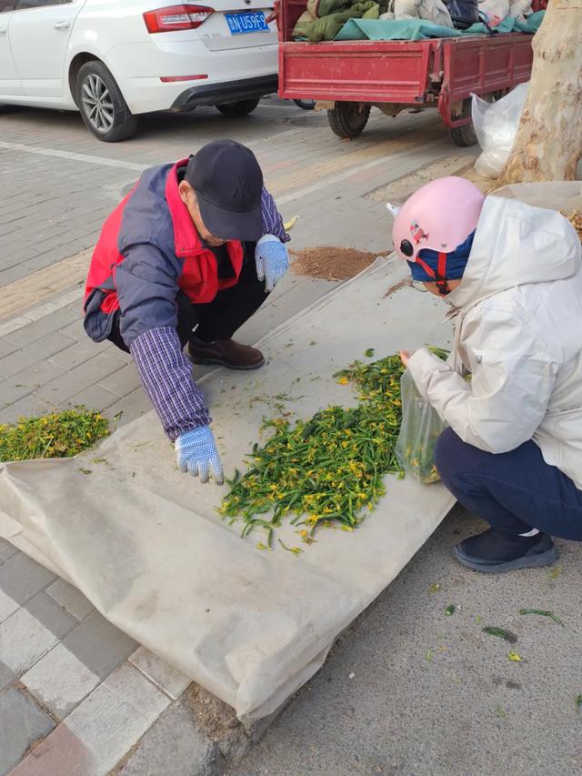 记录德州：逛德州城南邹李早市，你来过吗