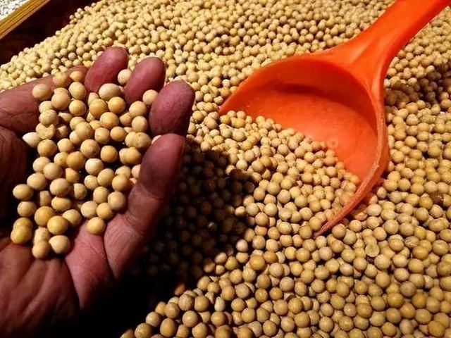 中方刚复购大豆，美国就变脸	，美贸易代表通告全球：继续调查中国