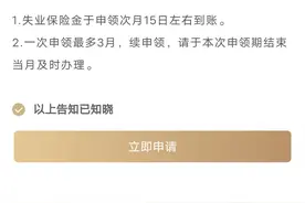 每月2255元，上海失业金领取政策及完全版操作流程图片