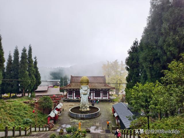 四川行(73)什邡红枫岭徒步到钟鼎寺