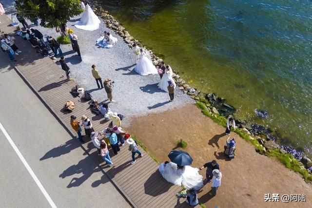 龙龛码头太有名,每天有很多人过来拍婚纱,但他们却不知道夫妻树