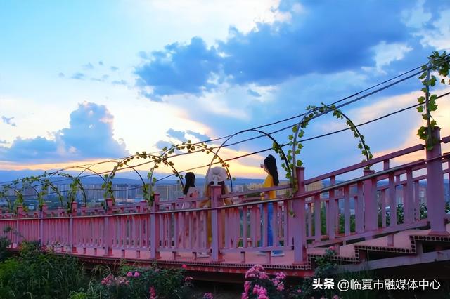 临夏行自驾必走→这条被誉为凤凰山「最美弯道」国庆秋色正美！