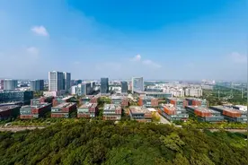 产业突围，南京的“慢功夫”与“快增长”图片