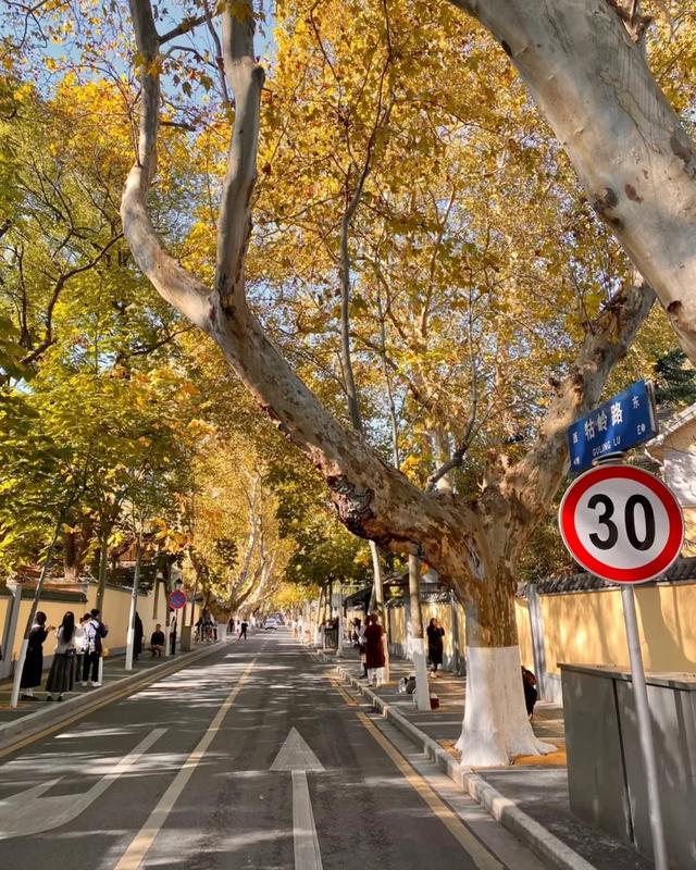 救命!南京这些老街正在集体消失!看哭了957万南京人!