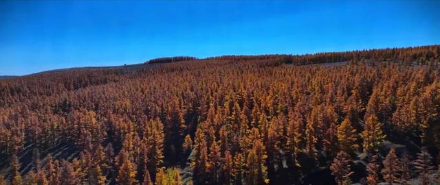 进度已达90%！呼和浩特进入全盛期！最近每天都不一样，呼市人抓紧出门