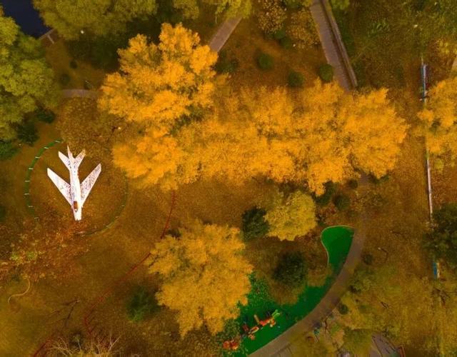 肥城秋冬的童话，收到了吗～满满诗意，满满爱！