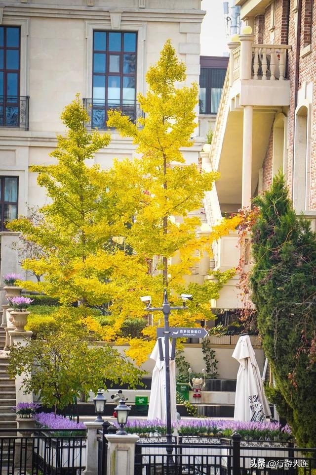 漫步大连，邂逅异域风情与老街烟火