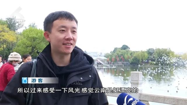 “人少不挤+暖阳鸥遇”，昆明“杀”进淡季旅游热门榜！