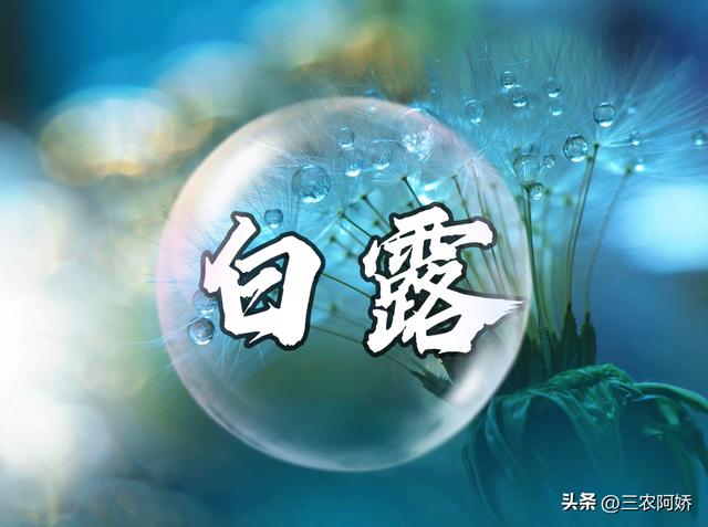 “冬天冷不冷，就看七月十八”，今日七月十八，今年会是寒冬吗？