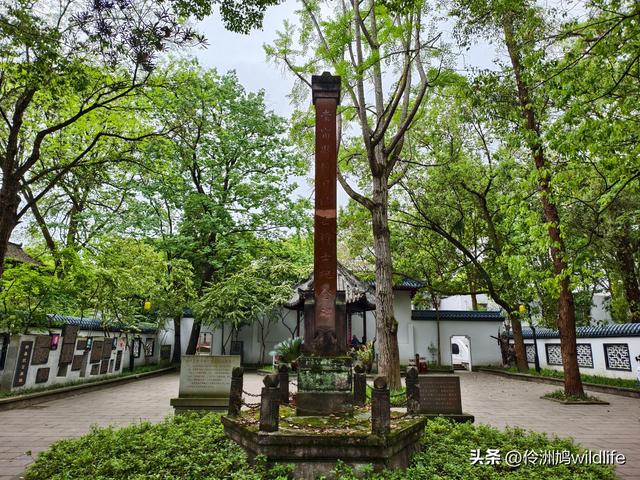 成都古镇（15）郫县唐昌古镇崇宁公园·大椿巷