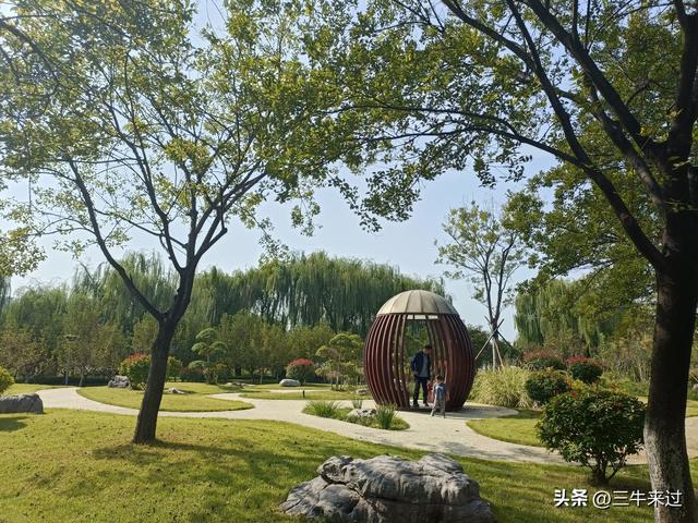 无为在歧路，国庆游淄博1