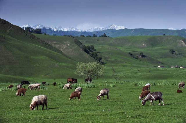 曾经荒无人烟的戈壁，新疆凭什么能逆袭成如今的能源顶流？