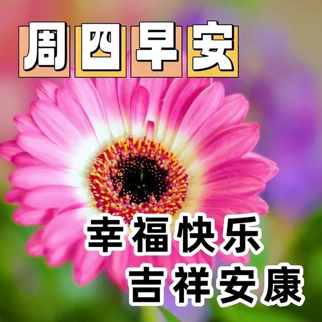 早安暖心短句，早上好祝福语吉祥话，健康天天在，幸福天天来