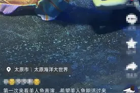 业内谈“美人鱼演员表演时晕倒”：下水前一般进食较少，遇到问题安全员至关重要图片