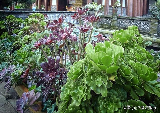 成都大邑最精致寺庙，钟鼓楼建于河上，超级漂亮，公共交通可达！