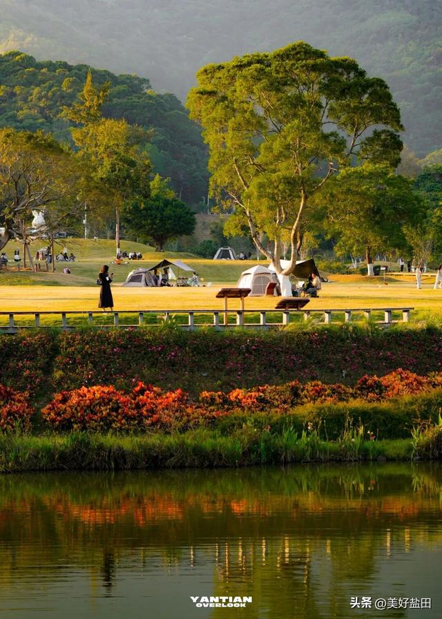 发现深圳“阿勒泰”这些机位的人，真是天才！