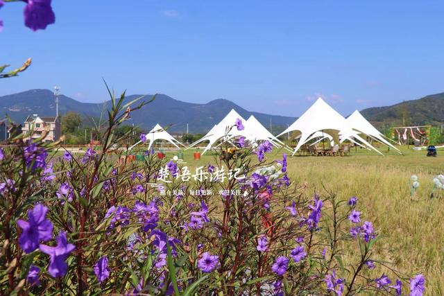 浙江宁波这片山海粉黛花海火了，但旁边风景更美，堪称宁波小新疆