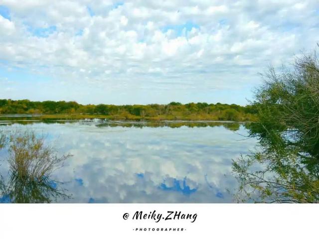 海拉尔区秋景图鉴——把远方的诗意装进镜头，把故乡的秋色揽入心怀