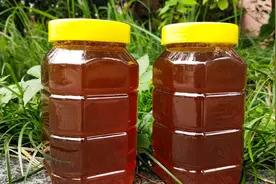 土蜂蜜会结晶吗？蜂蜜是结晶的好，还是不结晶的好?图片