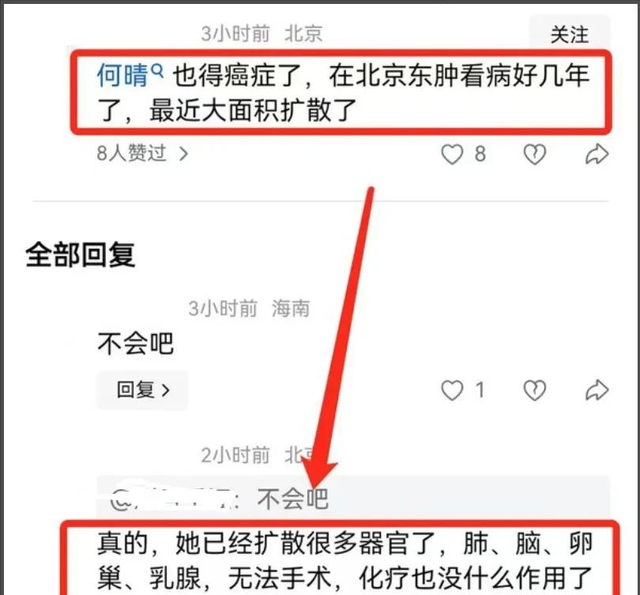 61岁何晴去世，死因曝光，下嫁三婚许亚军	，最后10年过得痛苦凄凉
