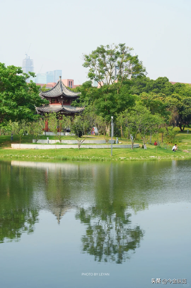 深圳这路承载几代人悲欢！2.3公里藏半生，老蛇口人为何念念不忘