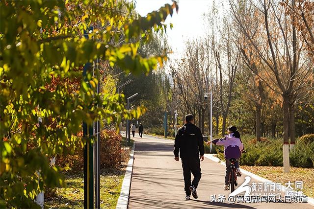 黄花公园秋意深 游客笑语映秋云