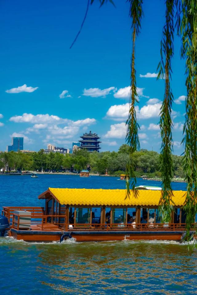 又一批“济南寻美客”出炉！欢迎你也来将济南的美定格
