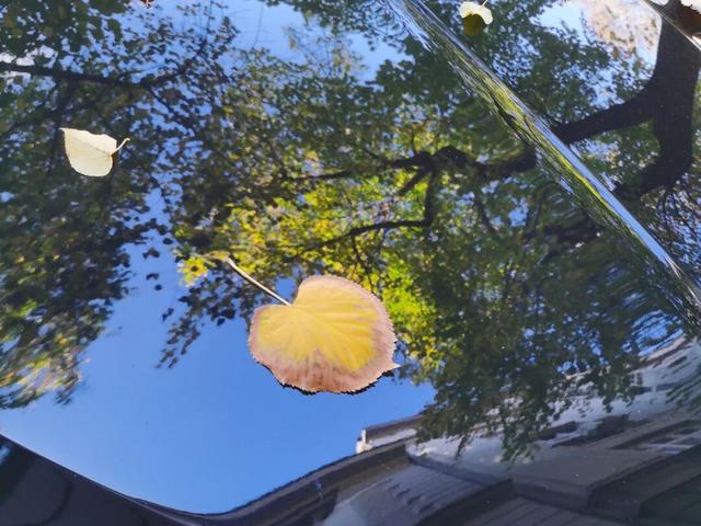 塞尔维亚，一座被轰炸过78天的城市的新生，贝尔格莱德一日游记