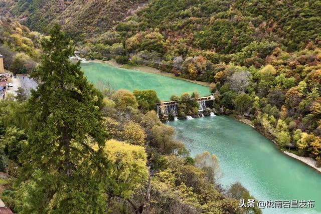 秋辞官鹅：一季斑斓入岁华