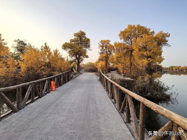 2025环南疆沙漠铁路背包自由行日记(6)---游览巴楚红海胡杨林景区