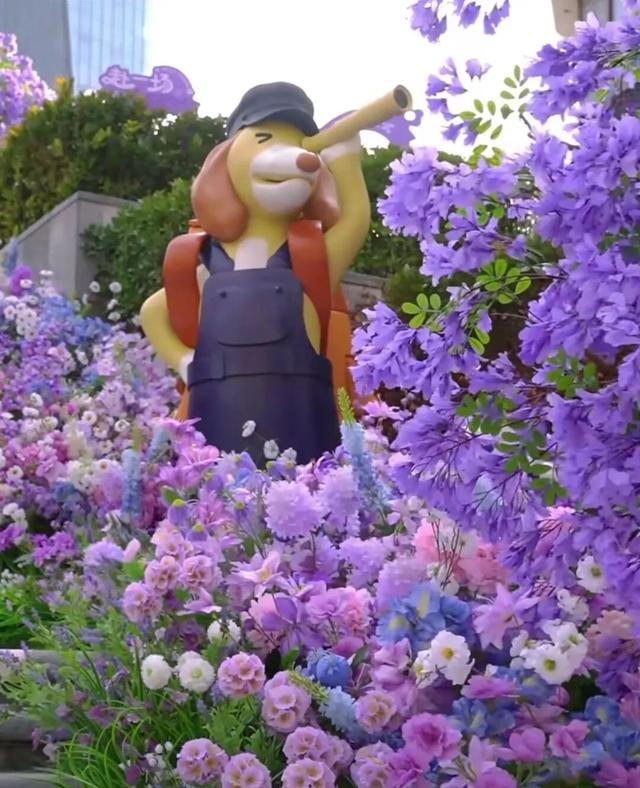 看一眼就沦陷！日照这里“大片”上演