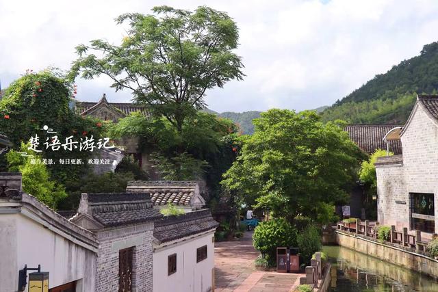 浙江宁波这里被誉为梵高画境，向日葵已谢但百日菊花开，老街更美