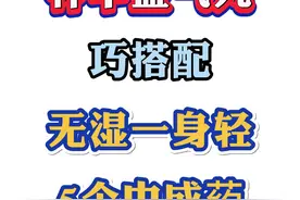补中益气丸不光能补中气，巧搭配这5个中成药，无湿一身轻图片