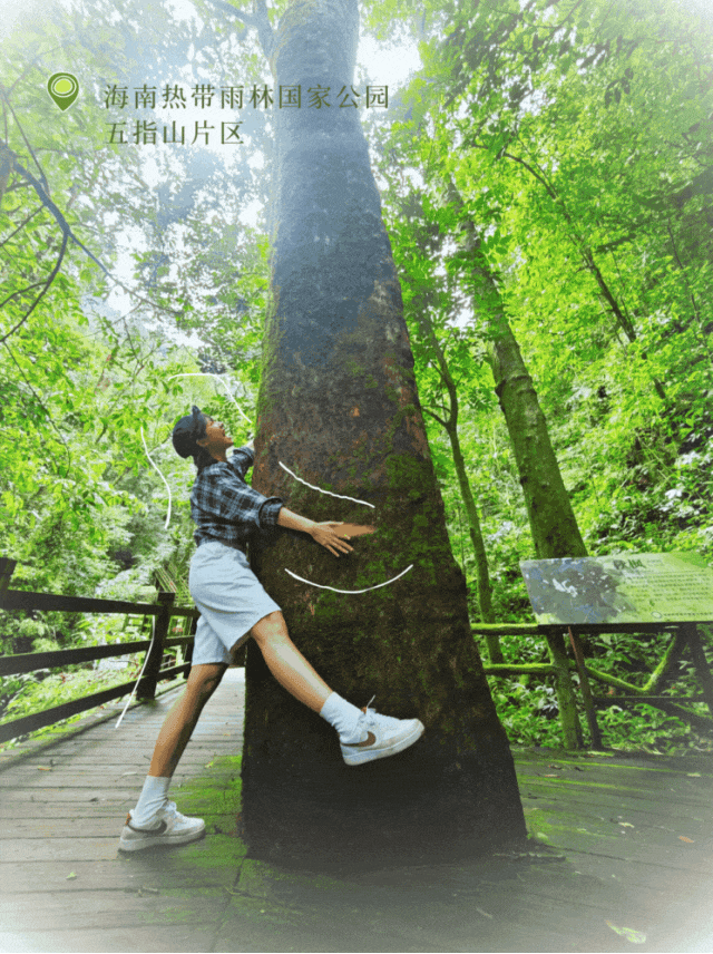 摇人啦摇人啦！五指山邀你一起加入暖冬派对