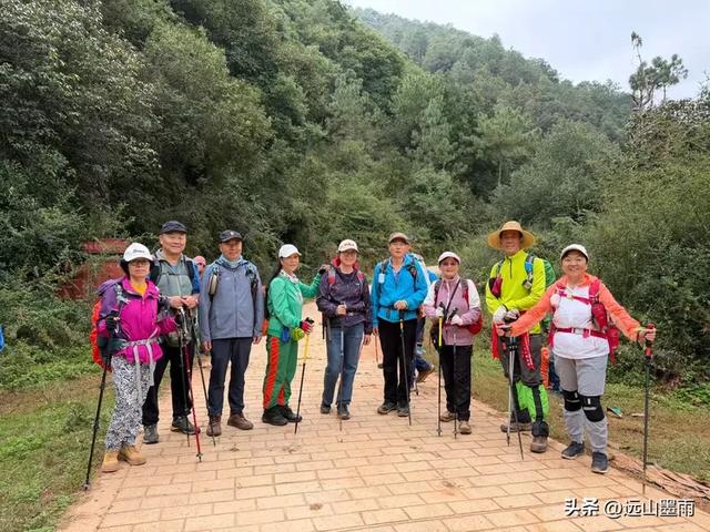 徒步武定香水箐,赏野草香飘、听溪流淙淙,徜徉绿水青山中,惬意