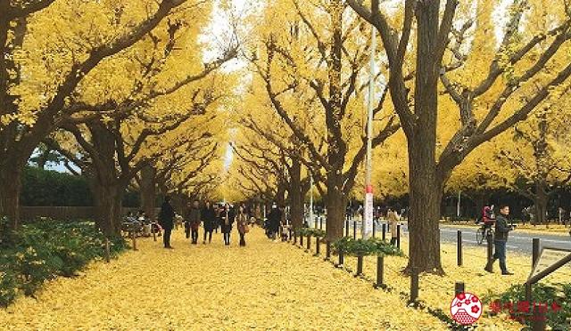 六本木转车攻略：铁道路线、车站出口、转乘方式、周边景点总整理