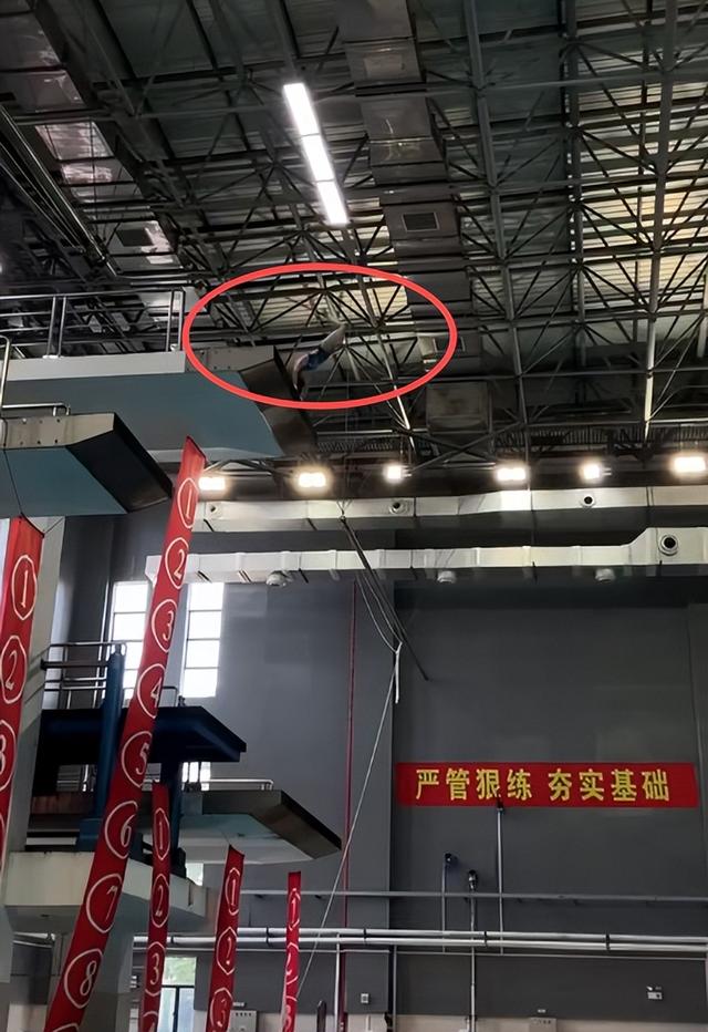 身材发胖风波仅1月，全红婵家别墅高度被邻居反超，入住遥遥无期